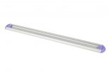 wandstrip