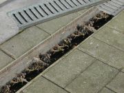Watergootborstel